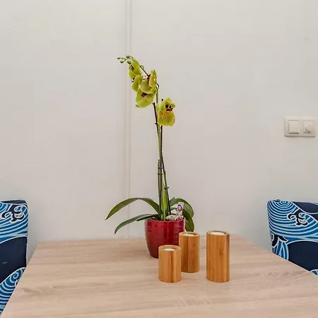 Romantic Oasis Apartman Zára