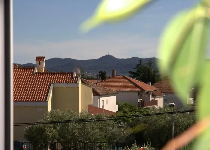 Lägenhet Romantic Oasis Zadar